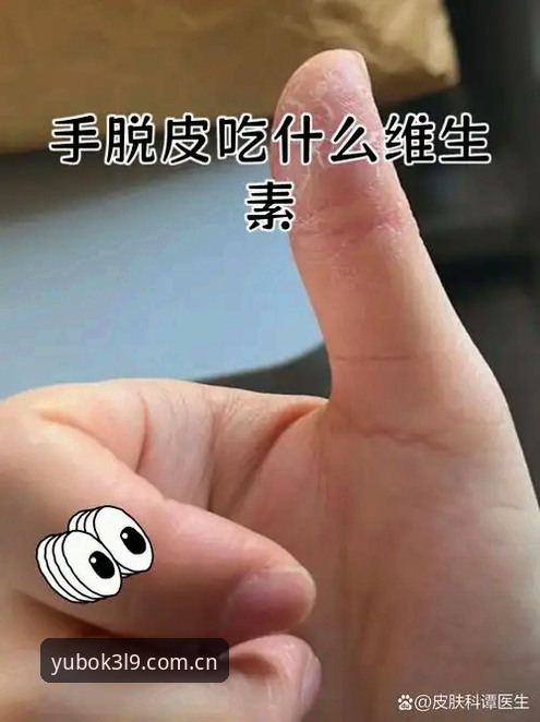 从新手到熟手：宇博K3L9官网入口使用指南与实战经验