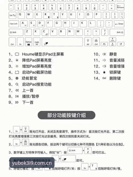 掌握宇博官方网站下载的实用技巧，旗舰版K3L9使用必备知识